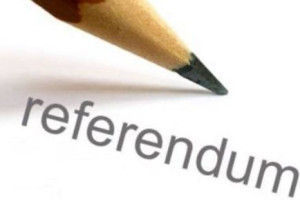 Een opinie over referenda