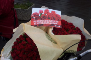 De PvdA deelt rozen uit aan bewoners Woensel-West.